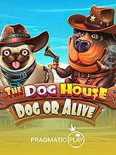 N9Turbo slot lions The Dog House â€“ Dog or Alive