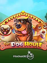 N9Turbo zeus slot pragmatic The Dog House